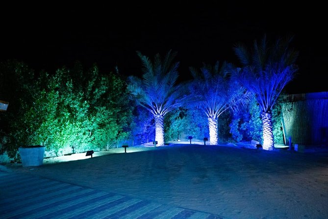 Standard Desert Safari, camel ride, BBQ Dinner, Belly Dance Show, Pick & Drop - Dune bashing on tall desert slopes
