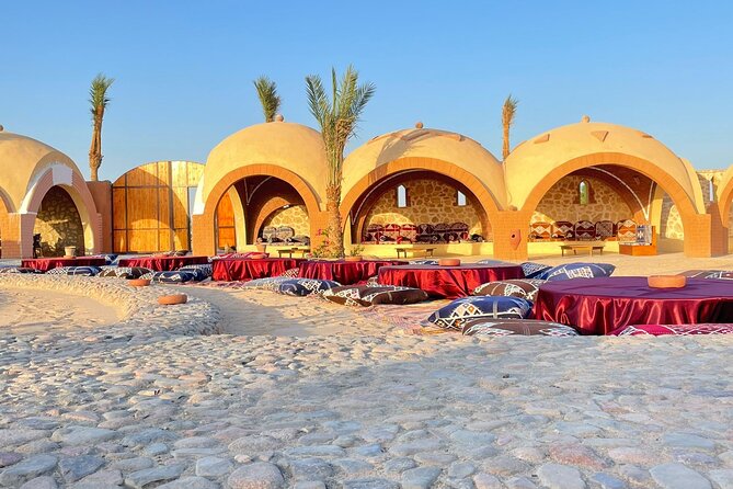 Stargazing Safari Adventure by Jeep with Bedouin Dinner-Hurghada - Camel riding, optional horses, and animal care