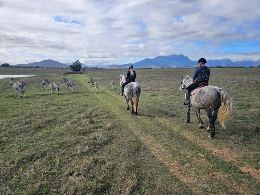 Stellenbosch: Horse Riding Wildlife Safari - Key points to know before you book