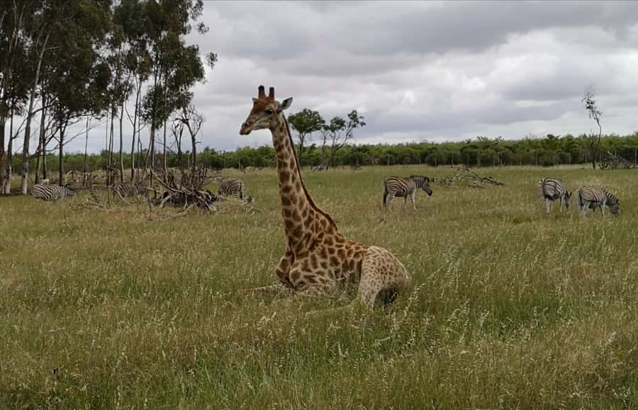 Stellenbosch: Horse Riding Wildlife Safari - Why the small group matters