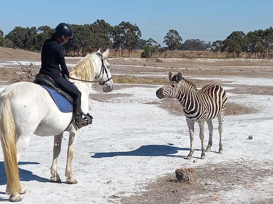 Stellenbosch: Horse Riding Wildlife Safari - Finding the meeting point near Stellenbosch