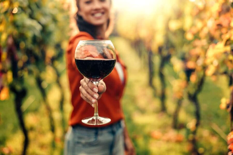 Stellenbosch North Guided Wine Safari (Tastings Excluded) - Tastings, lunch, and the real final cost