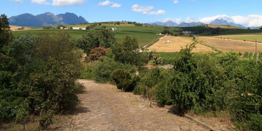 Stellenbosch North Guided Wine Safari (Tastings Excluded) - Small details that make the day better