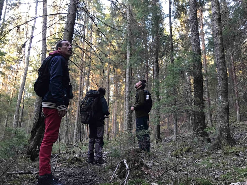 Stockholm: Wildlife Safari - What you may actually see