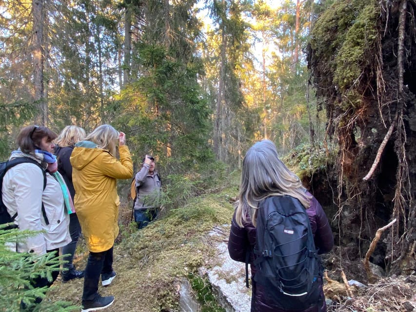 Stockholm: Wildlife Safari - The guides shape the evening