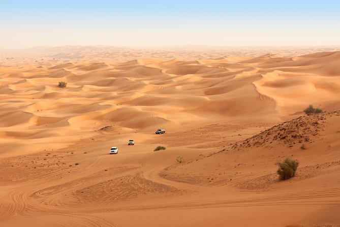 Sunrise Desert Safari from Abu Dhabi - Key points to know before you book