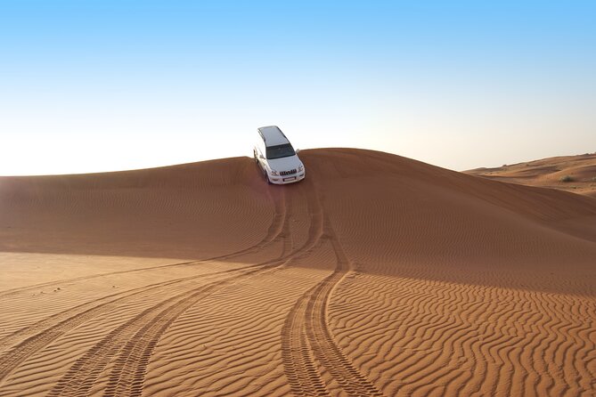 Sunrise Desert Safari from Abu Dhabi - Camel riding, sandboarding, and quad biking