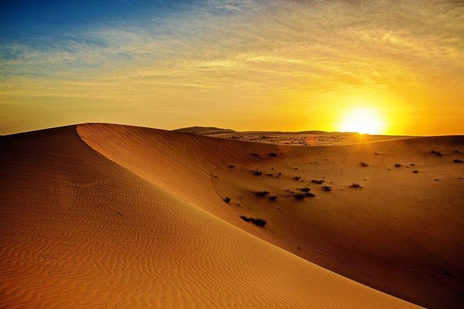 Sunrise Desert Safari from Abu Dhabi - The 4x4 dune drive is the main attraction