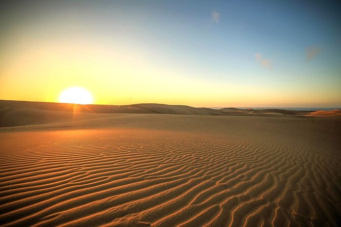 Sunrise Desert Safari in Qatar: An Unforgettable Adventure - Dune bashing with a private driver