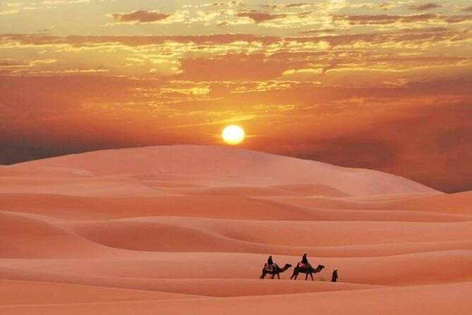 Sunrise or Sunset , Desert Safari Tour in Heart of Qatar - From Doha to Qatar’s Southern Desert