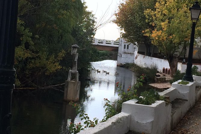 Sunset Safari - Alte brings water, villages, and local flavor