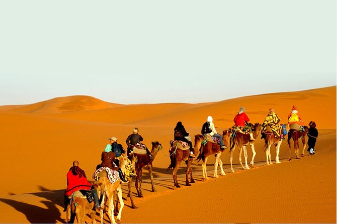 Sunset Safari With Dinner - Jassery Oasis, a brief change from stone and sand