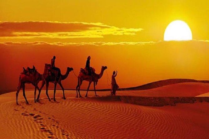 Sunset Safari With Dinner - A 90-minute camel ride into the Thar Desert