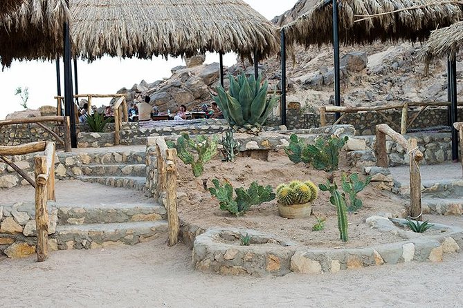 Super Safari, ATV & Sunset, Camel Ride With Dinner - Marsa Alam - Tea, flatbread, and a look at Bedouin life