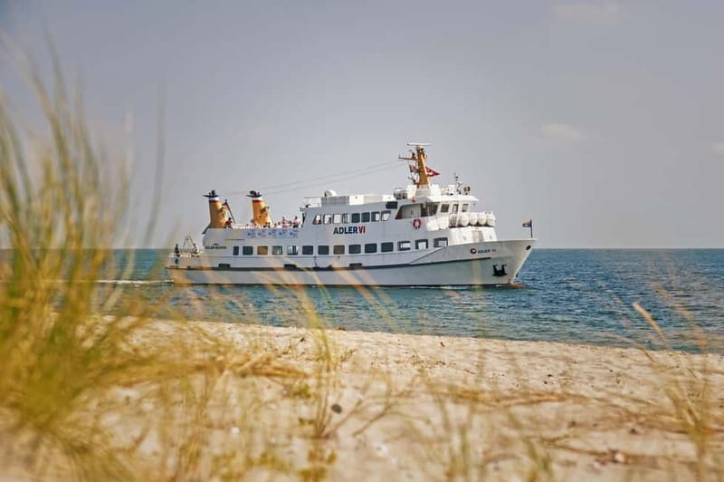 Sylt: Shell safari with boat | incl. Mussel tasting & 1 glass of wine - Seeing the mussel farms from the water
