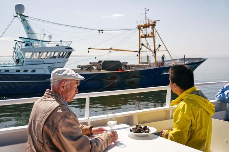 Sylt: Shell safari with boat | incl. Mussel tasting & 1 glass of wine - Is $34 a fair price?