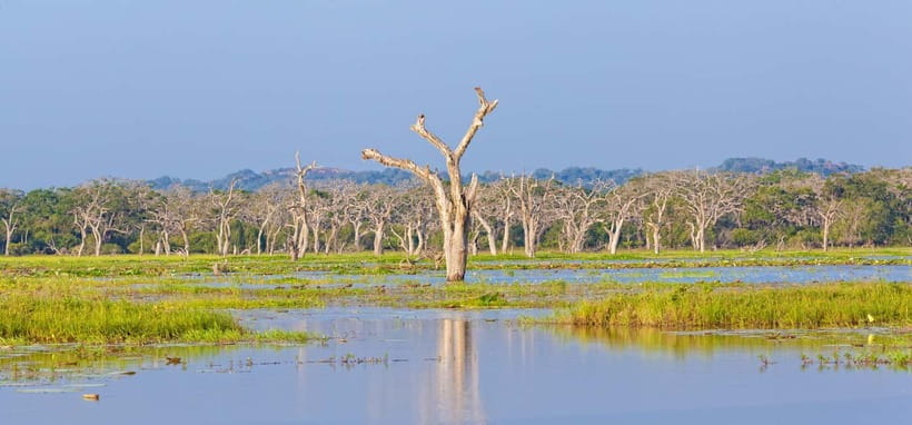 Tangalle/Hiriketiya/Mirissa: Shuttle to Ella and Yala Safari - Finishing in Ella after the park