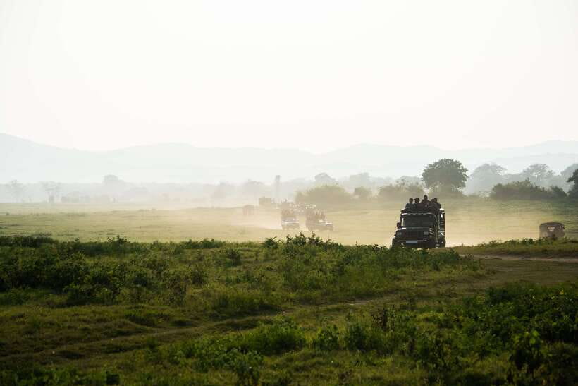 Tangalle/Hiriketiya: Yala National Park Safari in a 4x4 - What this Yala safari actually offers