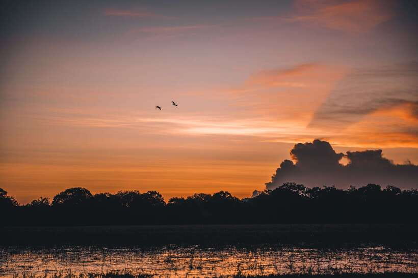 Tangalle/Hiriketiya: Yala National Park Safari in a 4x4 - From your hotel to the Yala entrance