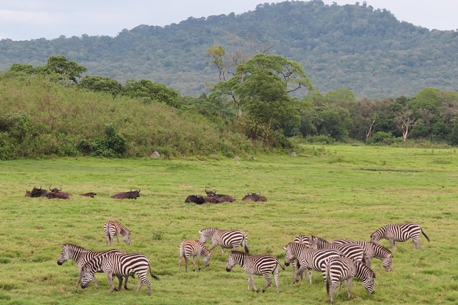 Tanzania - Arusha NP - Private Guided 4x4 Safari - Game Drive & Walking - Leaving the vehicle for a walking safari