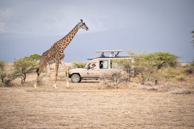Tanzania Simba Safari – 5 Days