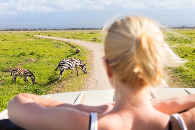 Tanzania Simba Safari - 5 Days - Day 5: An early game drive in Ngorongoro Crater