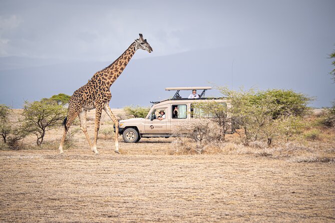 Tanzania Simba Safari - 5 Days - Day 1: An easy arrival in Arusha