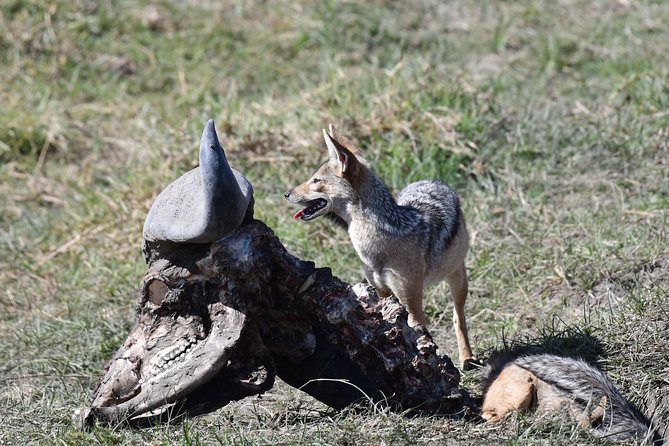 Tanzania Wildlife Cultural Safari from Arusha. - Lake Eyasi and the Hadzabe visit