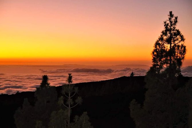 Teide National Park Sunset & Stargazing with Dinner (Star Safari) - Cold, darkness, and standing time