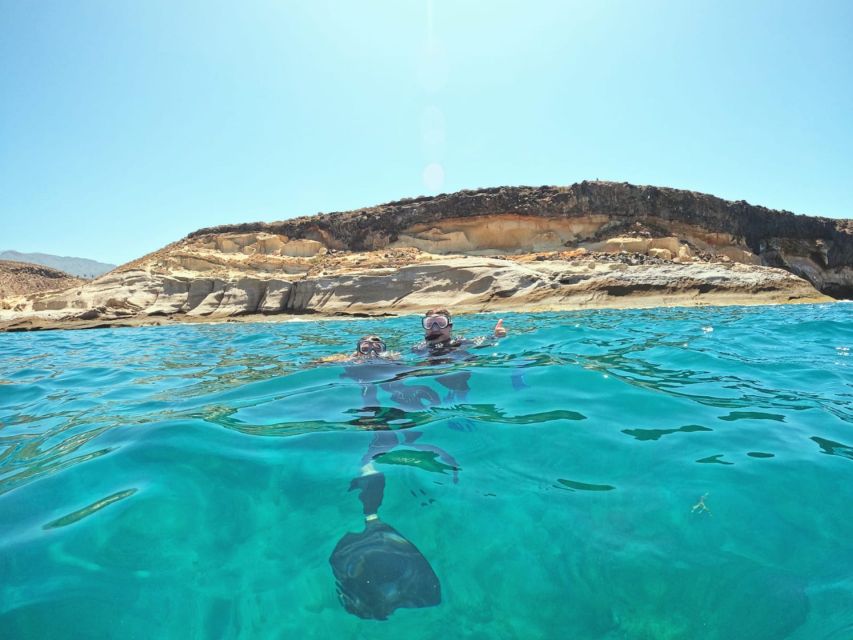 Tenerife: Puerto Colon Snorkel Safari by Speed Boat - A short boat ride from Puerto Colón