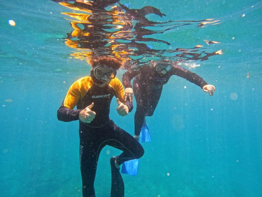 Tenerife: Puerto Colon Snorkel Safari by Speed Boat - The secluded bay and the main hour in the water