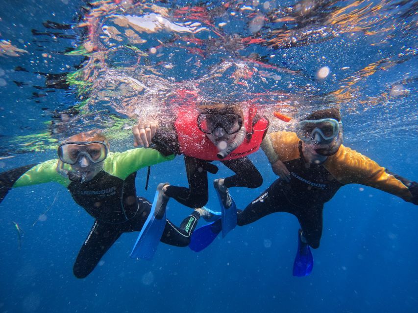 Tenerife: Puerto Colon Snorkel Safari by Speed Boat - What the $53 price includes