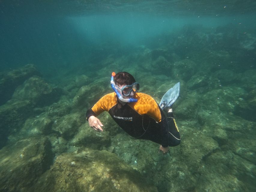 Tenerife: Puerto Colon Snorkel Safari by Speed Boat - Why the speed boat makes a difference