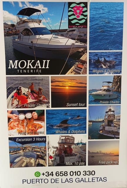 Tenerife south: safari with luxury boat , animals encounters - Starting in Las Galletas and reaching the boat