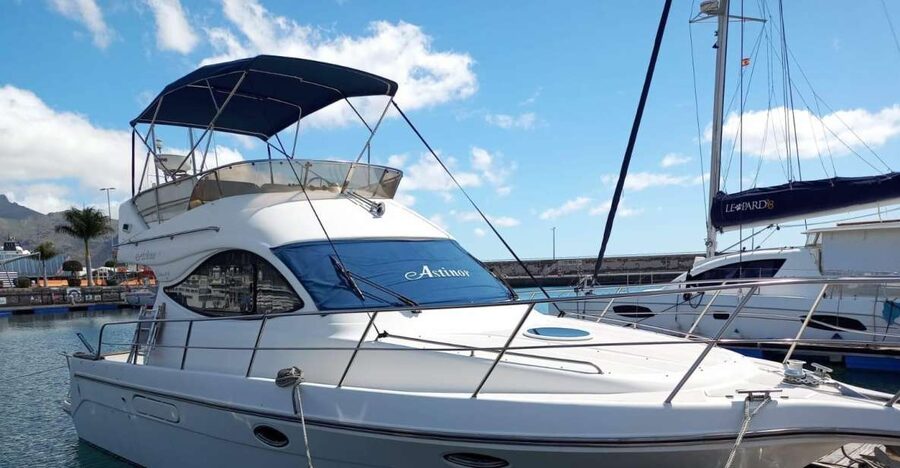 Tenerife south: safari with luxury boat , animals encounters - The swimming stop in an exclusive bay