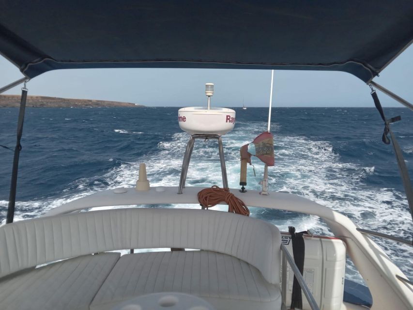 Tenerife south: safari with luxury boat , animals encounters - Why the two-story boat matters