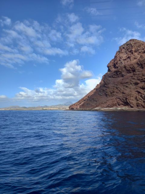 Tenerife south: safari with luxury boat , animals encounters - Private and small-group options