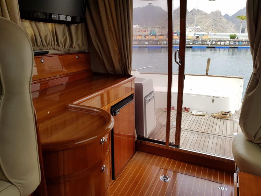 Tenerife south: safari with luxury boat , animals encounters - How the timing affects your day