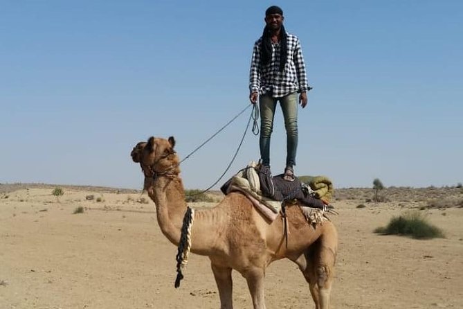 Thar Desert Camel Tour, Guide with over 25 years of experience! - Key points to know before you book