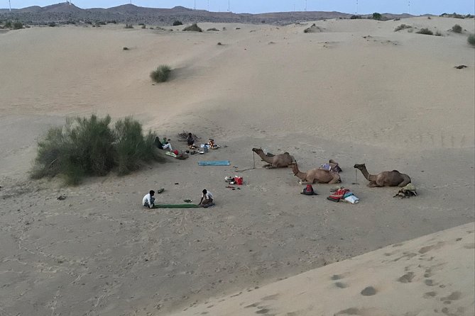 Thar Desert Camel Tour, Guide with over 25 years of experience! - Pickup in Jaisalmer and the first desert stops