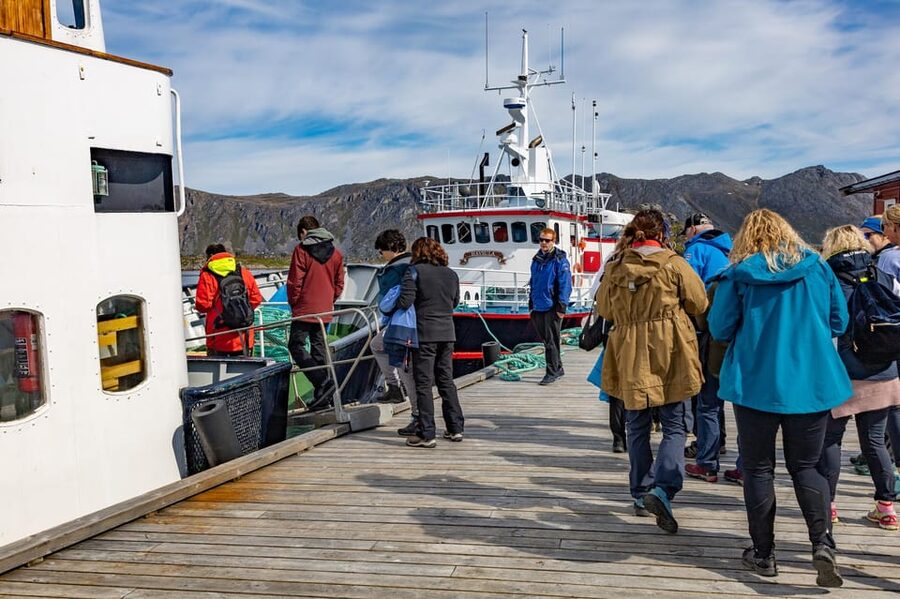 The Bird Safari Tour - From Honningsvåg across the North Cape island