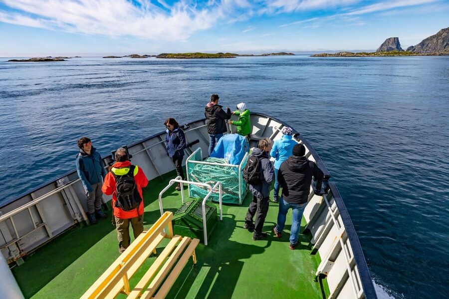 The Bird Safari Tour - Puffins, kittiwakes, and the limits of wildlife watching