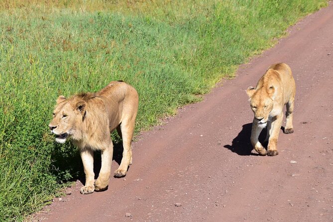 The World's Most Affordable 5-day Serengeti Budget Camping Safari - Day 2: The long road to Central Serengeti