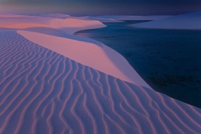 Thrilling 4-Hour Dune Bashing & Camel Ride Safari to Inland Sea - Who should book this four-hour outing