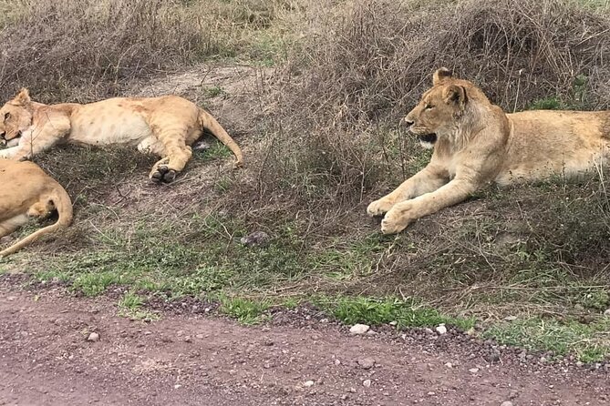 Top Best 5 Days Tanzania Luxury Safari to Serengeti - Why this five-day route works