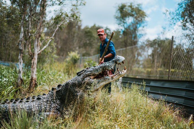 Top End Safari Camp Day Tour - Meeting the rescued crocodiles at feeding time