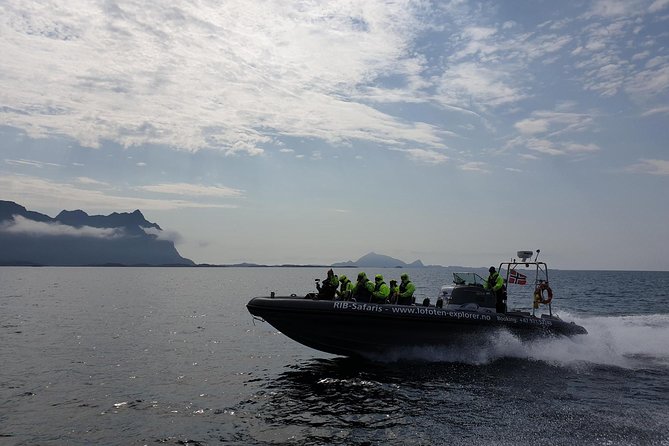Trollfjord and Sea Eagle Safari Tour from Svolvaer - Why this short Svolvaer boat trip works so well