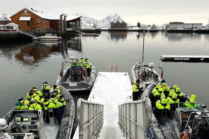 Trollfjord and Sea Eagle Safari Tour from Svolvaer - Is $139.81 a fair price for two hours?