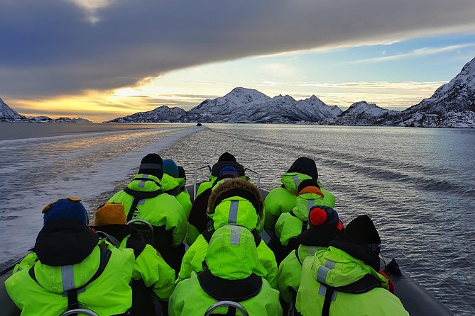 Trollfjord and Sea Eagle Safari Tour from Svolvaer - Leaving Svolvaer for the sea eagle grounds