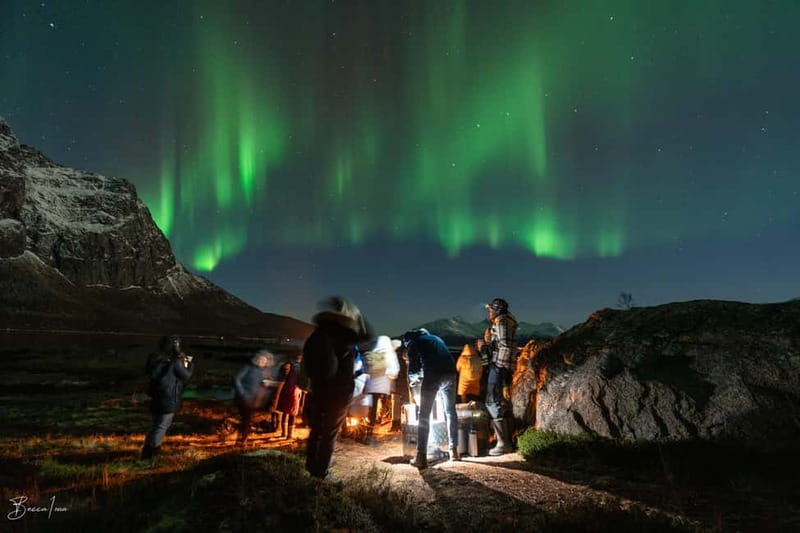 Tromsø: Northern Lights Safari with Expert Guides and Photos - The long drive into darker skies